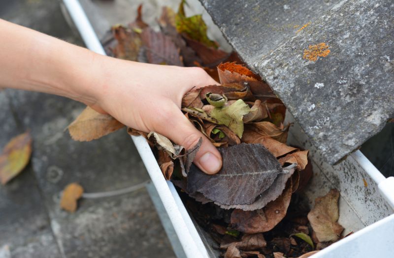 Business Gutter Cleaning in Littleton, CO