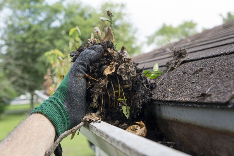 Clogged Gutter Clearing in Morris County, NJ