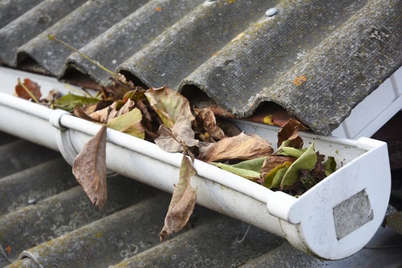 Clogged Gutter Clearing in Fredericksburg, VA
