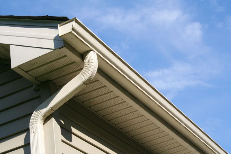 Eavestrough Clearing in Annapolis, MD