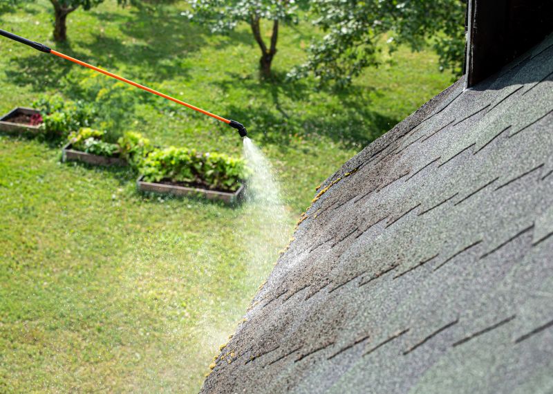 Garage Roof Cleaning in Vancouver, WA