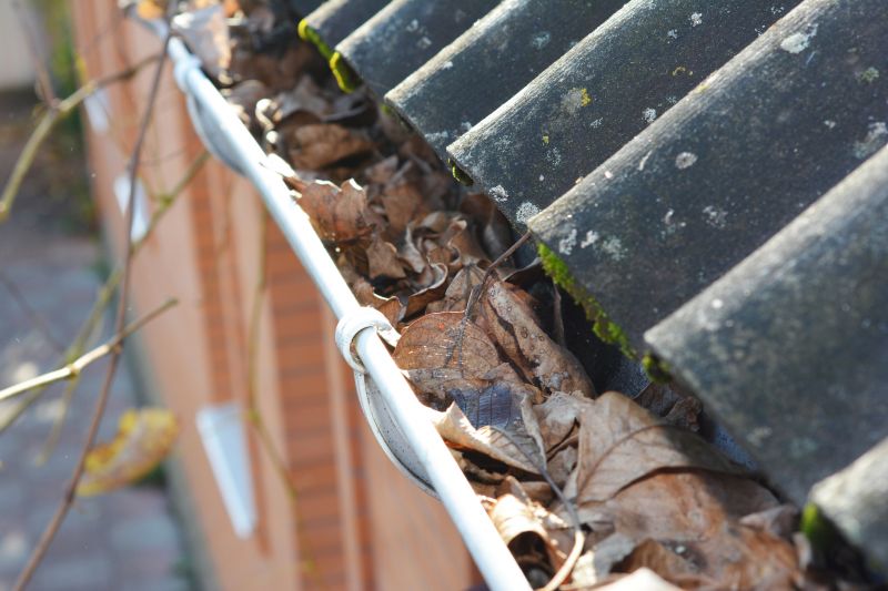 Gutter Leaf Clearing in Long Island, NY