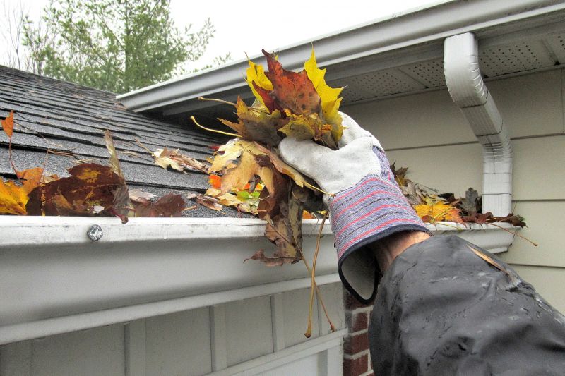 Gutter Leaf Clearing in Morris County, NJ