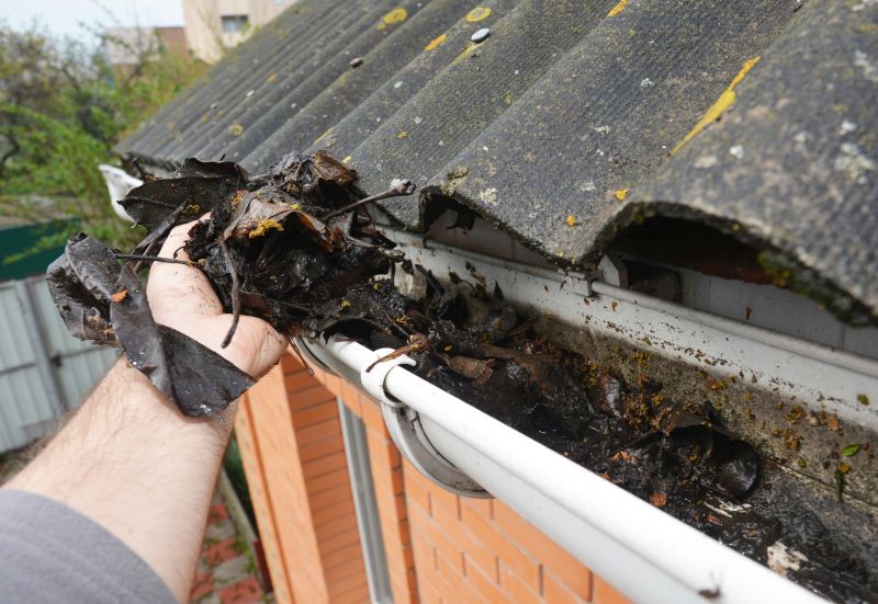 Gutter Leaf Clearing in Monmouth County, NJ