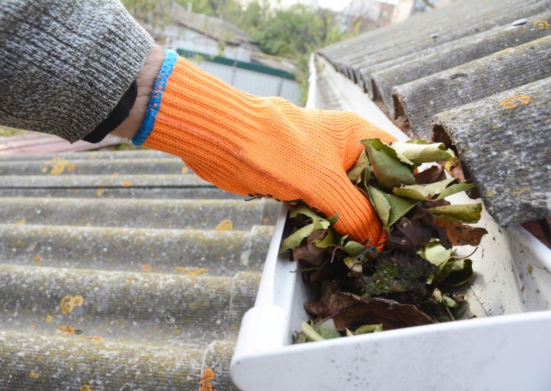Gutter Leaf Clearing in Annapolis, MD