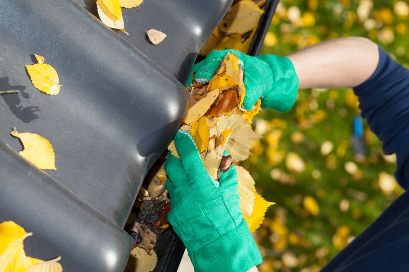 Gutter Leaves Removal in Monmouth County, NJ
