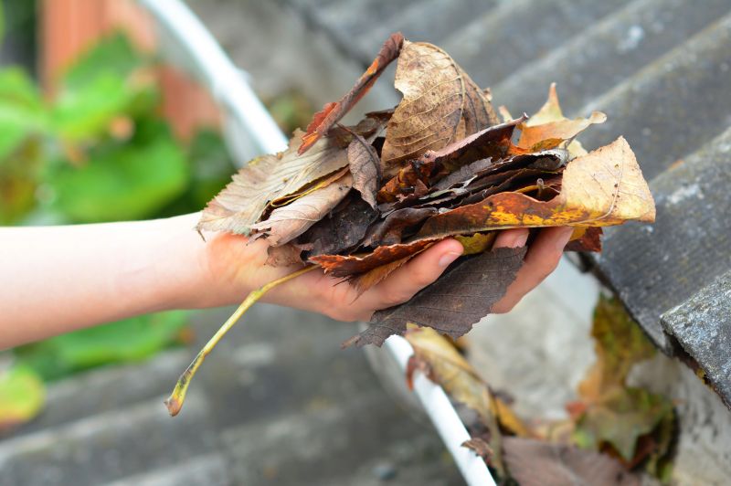 Gutter Leaves Removal in Monmouth County, NJ