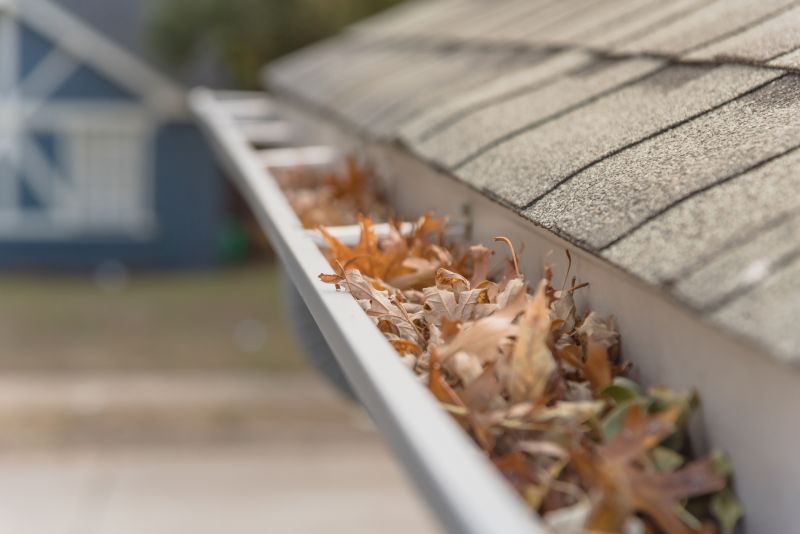Gutter Leaves Removal in Rochester, NY
