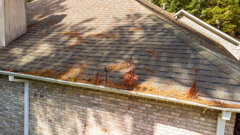 Gutter Pine Needle Removal in Rochester, NY