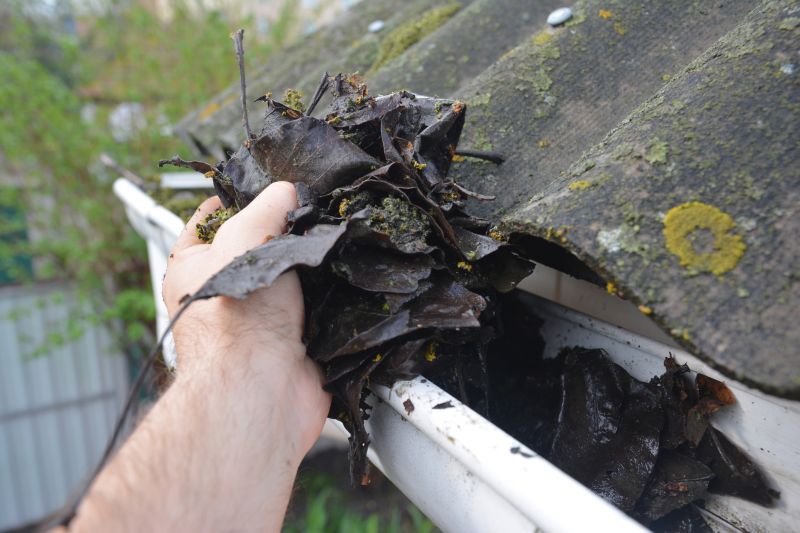 Gutter Pine Needle Removal in Longmont, CO