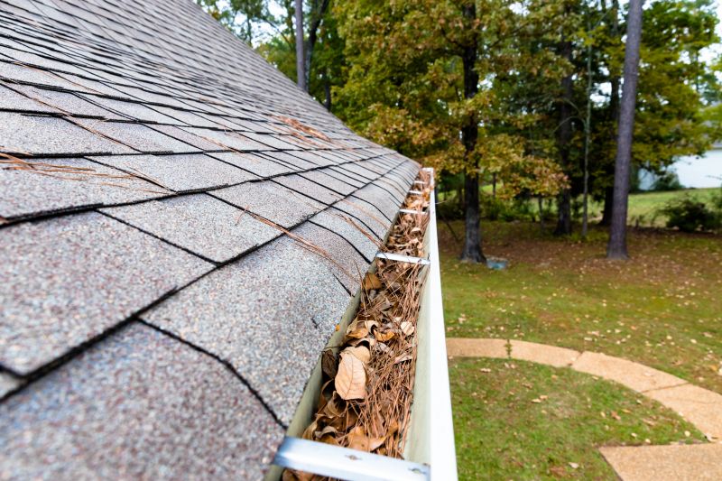 Gutter Pine Needle Removal in Boulder, CO