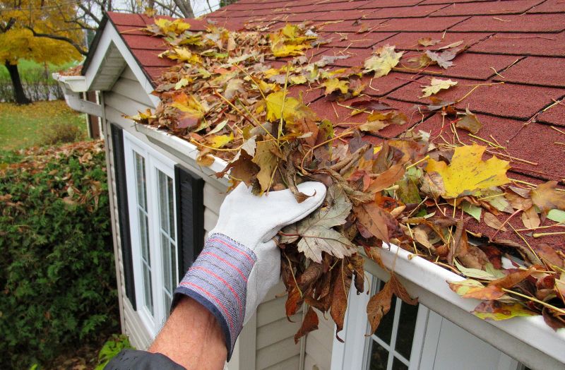 Gutter Pine Needle Removal in Boulder, CO