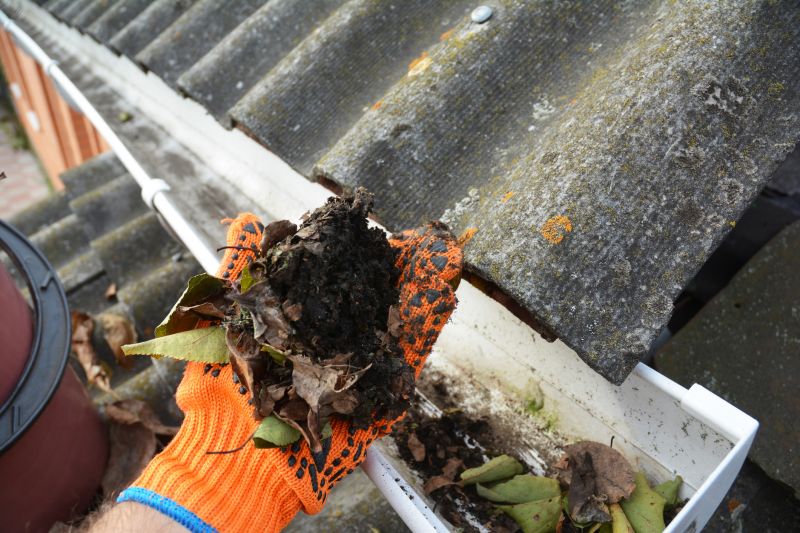 Rain Gutter Clearing in Monmouth County, NJ