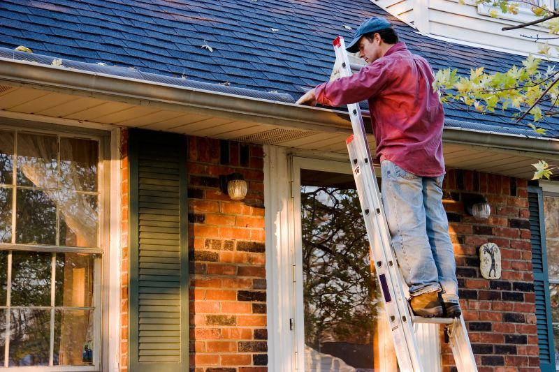 Roof Gutter Cleaning in Longmont, CO