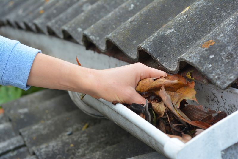 Roof Gutter Cleaning in Boulder, CO