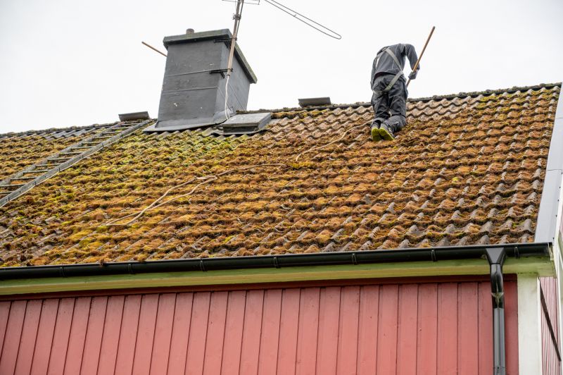 Roof Moss Removal in Vancouver, WA