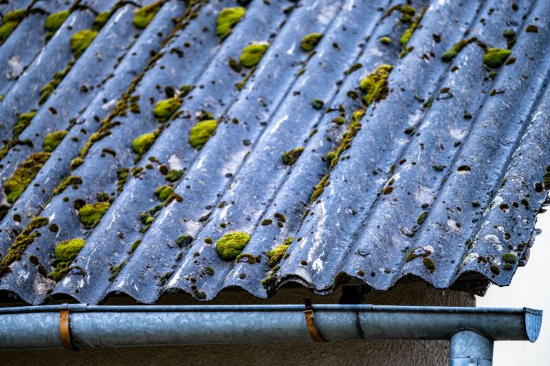 Roof Moss Removal in Vancouver, WA