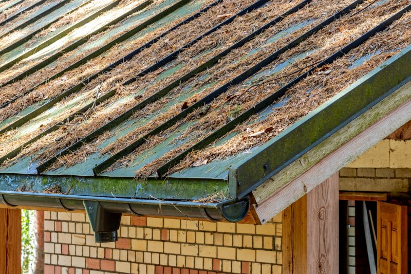 Roof Pine Needles Removal in Vancouver, WA