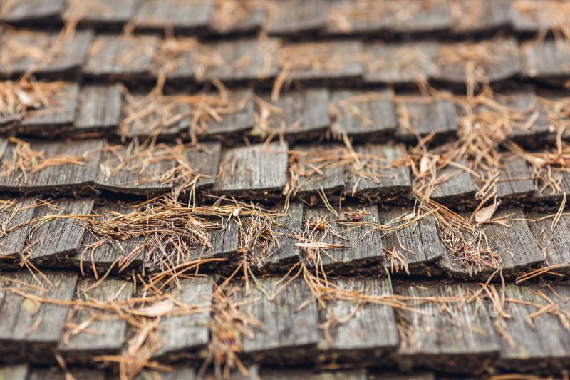 Roof Pine Needles Removal in Vancouver, WA