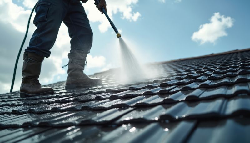 Roof Soft Washing in Vancouver, WA