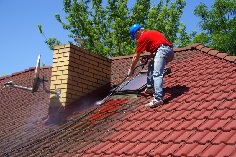 Roof Stain Removal in Vancouver, WA