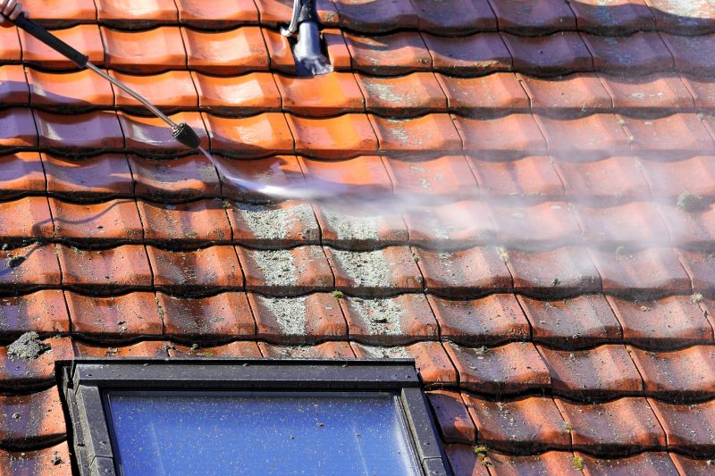 Tile Roof Cleaning in Vancouver, WA