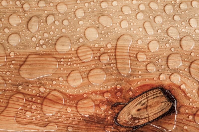 Wood Waterproofing in Gig Harbor, WA