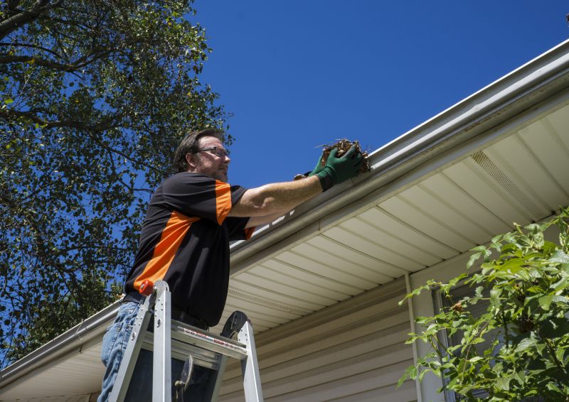 Clogged Gutter Clearing in Richmond, VA