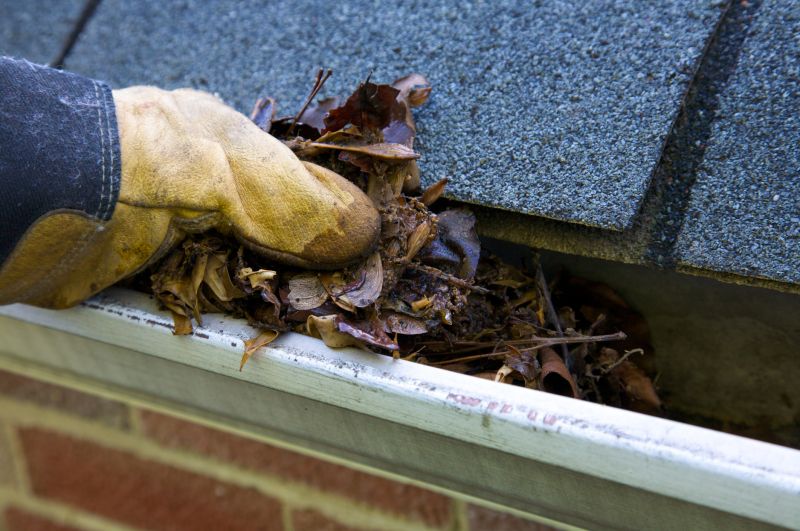 Clogged Gutter Clearing in Fredericksburg, VA