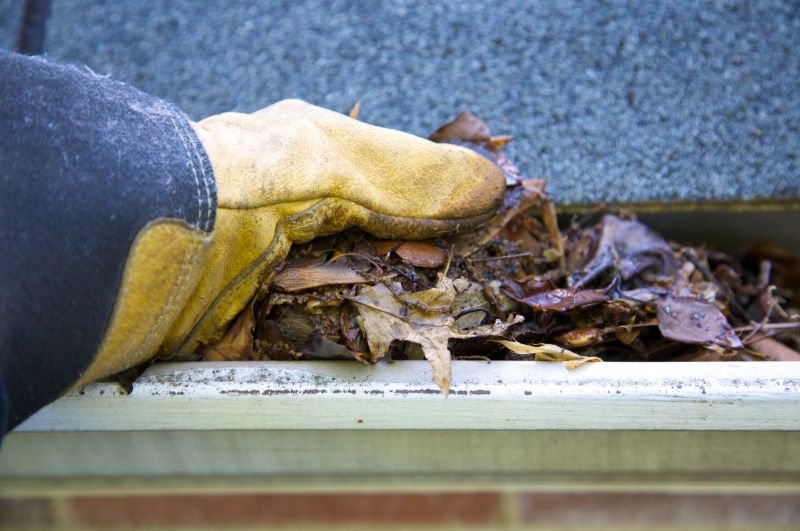 Clogged Gutter Clearing in Arvada, CO