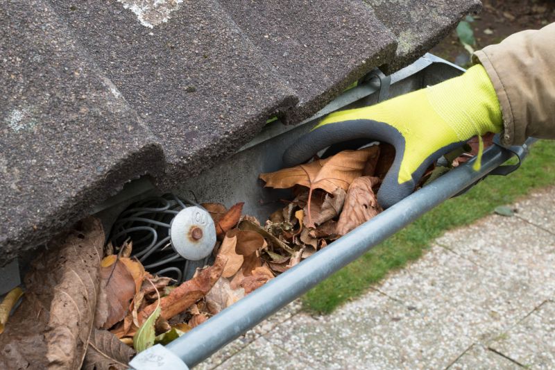 Commercial Downspout Cleaning in Denver, CO