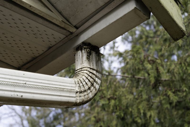 Downspout Snaking in Longmont, CO