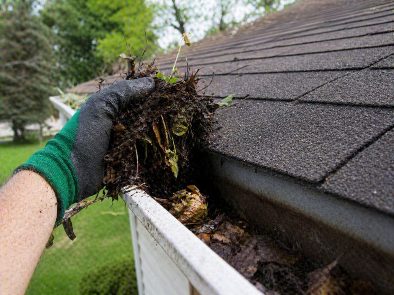 Gutter Leaf Clearing in Longmont, CO