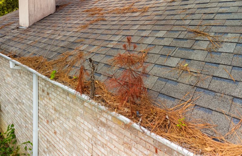 Gutter Pine Needle Removal in Bergen County, NJ