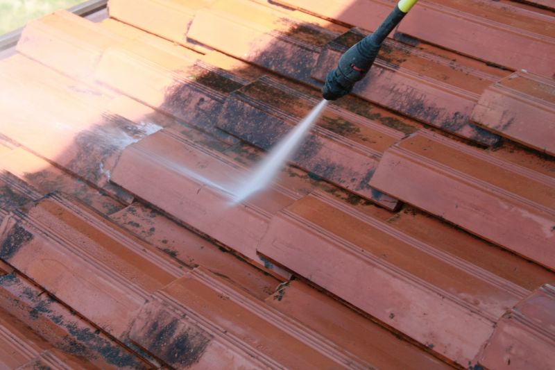 Roof Dirt Removal in Vancouver, WA