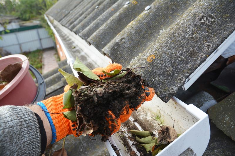 Roof Gutter Cleaning in Fredericksburg, VA