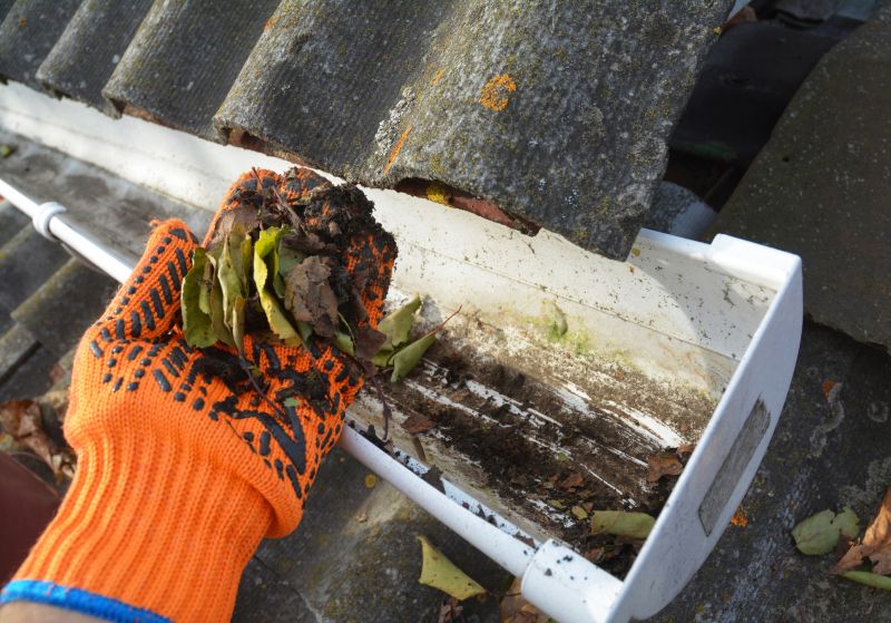Roof Gutter Cleaning in Longmont, CO