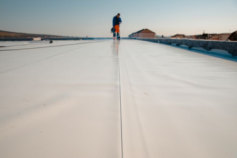Rubber Roof Cleaning in Vancouver, WA